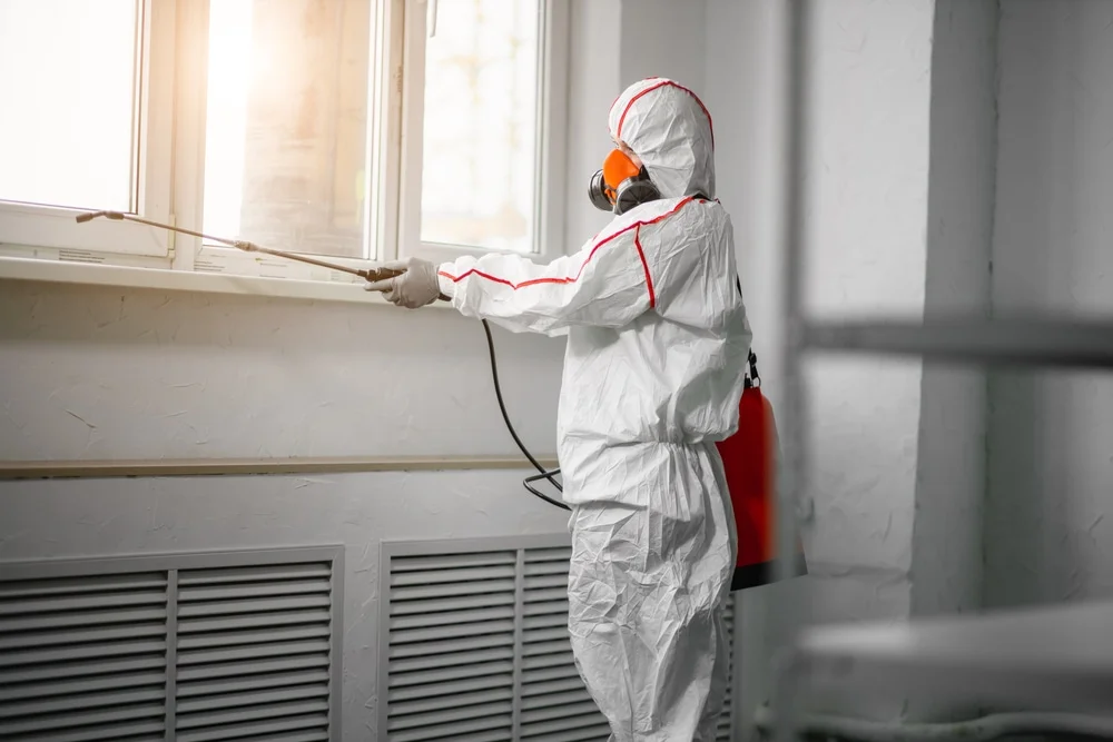 Professional mold remediation services in Oakford, IN